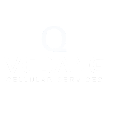 Vedang